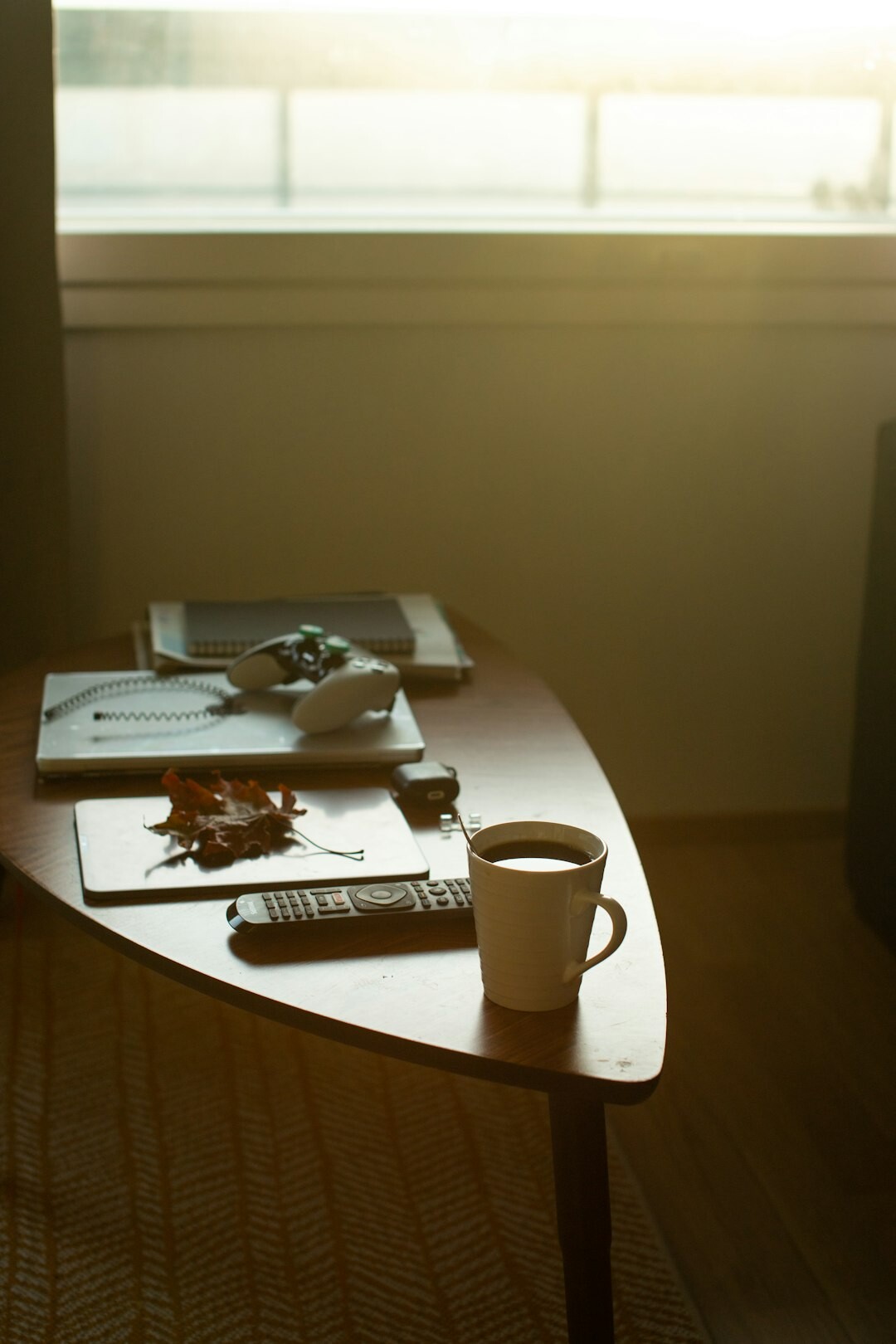 woman journaling in morning light